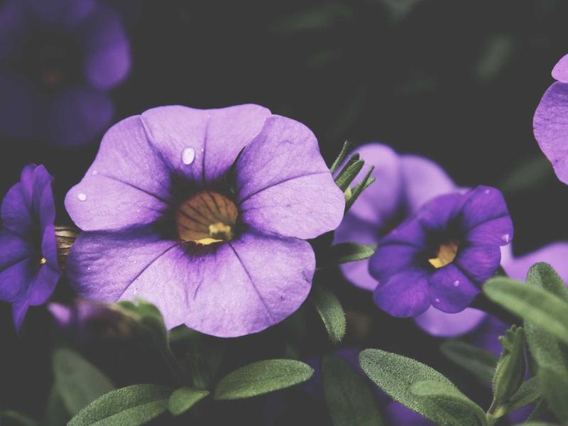 sudoku mental gym screenshot 1